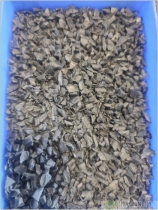 Thumb8-SB PLASTIC GRS 302 Ac 9938   02